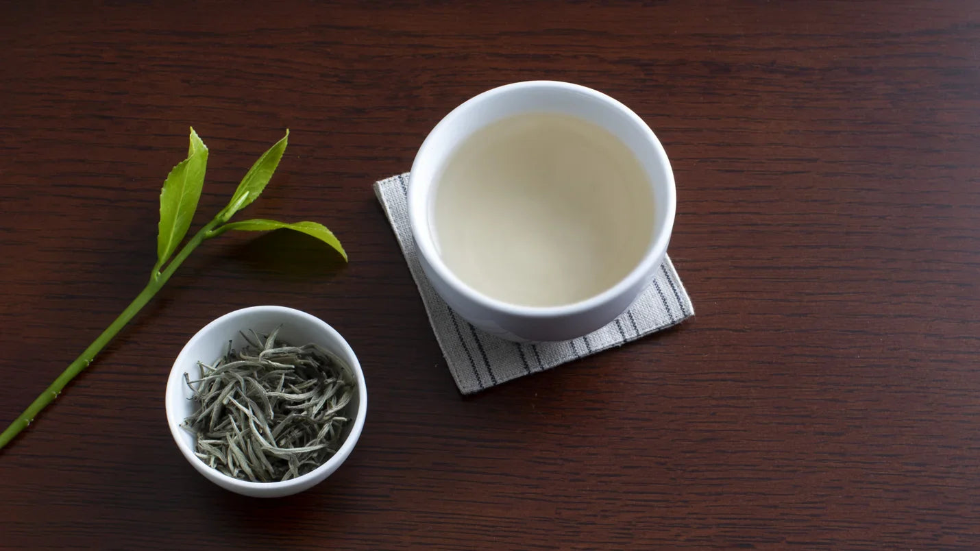 The White Teas of Fujian Province, Ancient and Amazing
