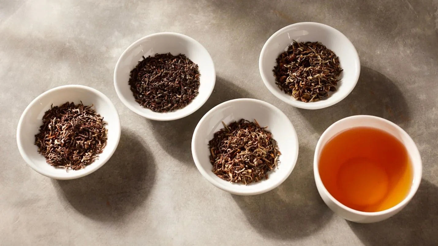 Tea Consultant Cupping: Tasting 12 Breakfast Blends