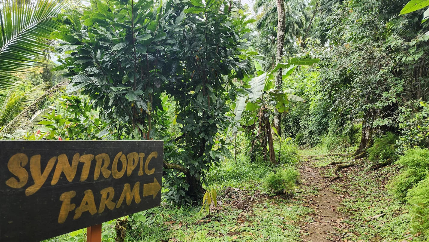 Sustainability: From Concept to Commitment