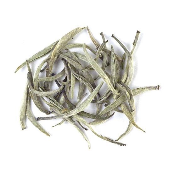 Ceylon Silver Tips White Tea – Upton Tea Imports