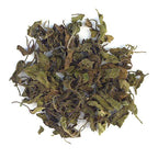 Rama Tulsi (Holy Basil)