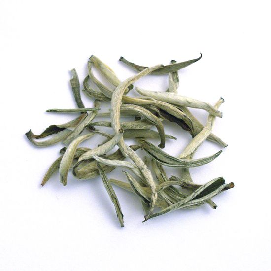 Yunnan Silver Needle – Upton Tea Imports