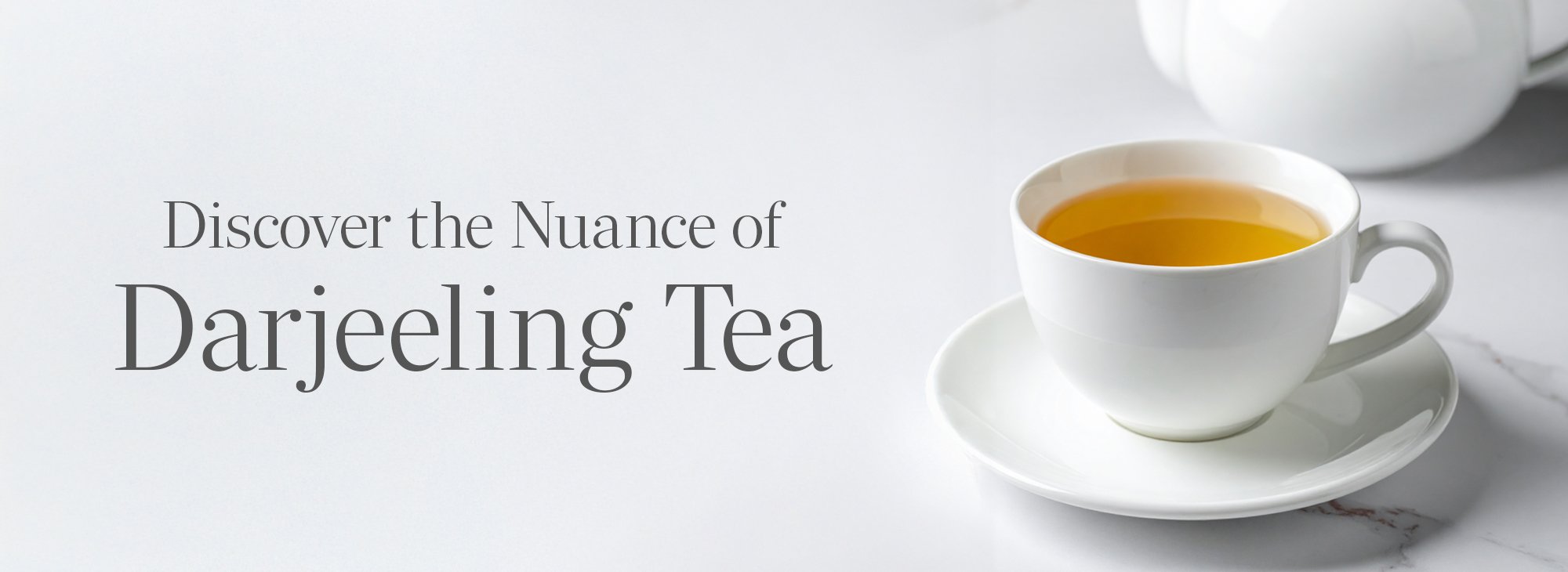 Discover the Nuance of Darjeeling Tea